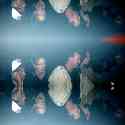 122090 bytes